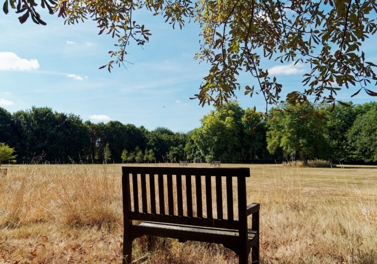 Bench overlooking school playing field