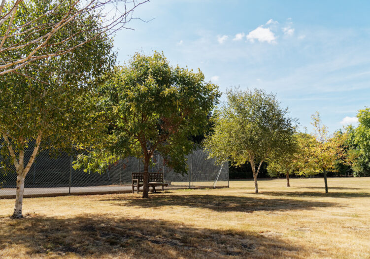 School playground and playing field
