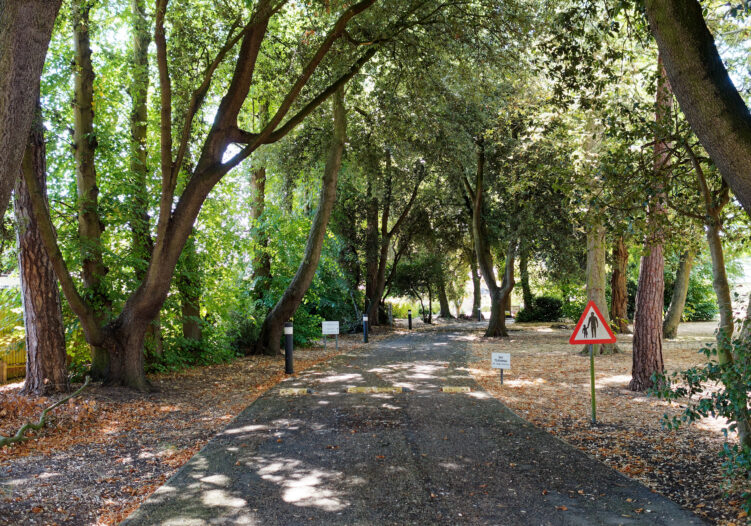 School entrance driveway surrounded by trees